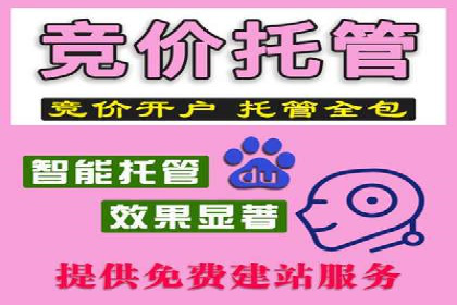 揭秘不同行业百度推广费用差异的实战案例